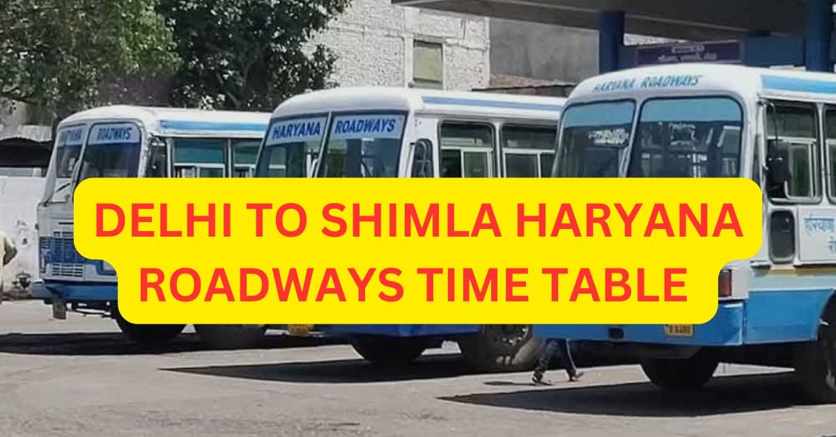 DELHI TO LUDHIANA HARYANA ROADWAYS TIME TABLE 5