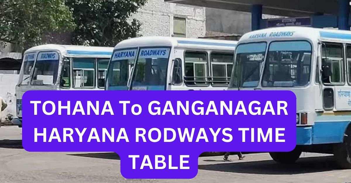 NARNAUL To HISAR HARYANA RODWAYS TIME TABLE 16