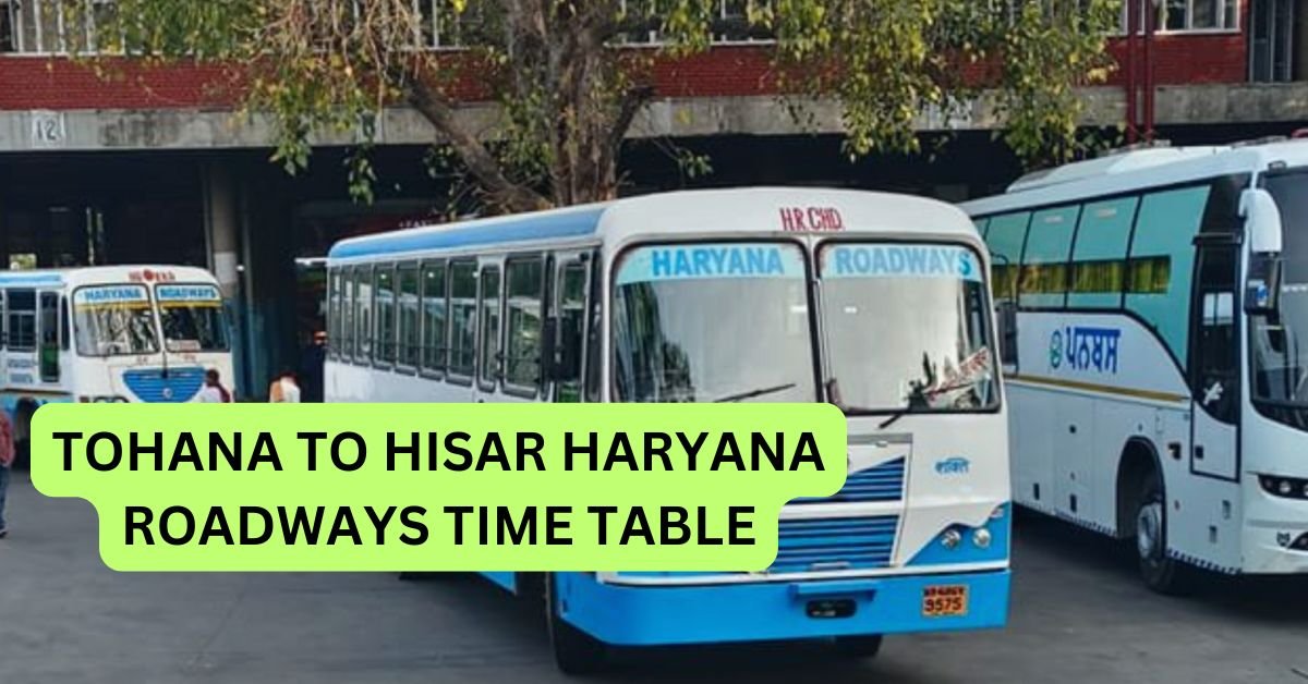NARNAUL To HISAR HARYANA RODWAYS TIME TABLE 19