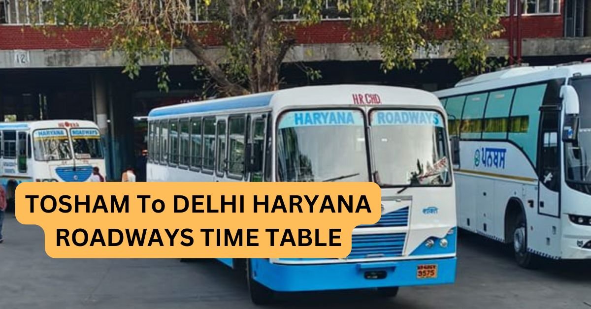 NARNAUL To HISAR HARYANA RODWAYS TIME TABLE 27
