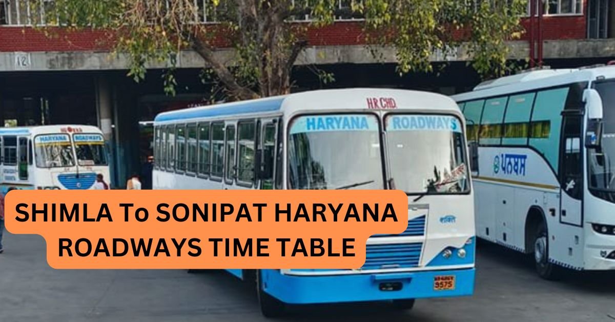NARNAUL To HISAR HARYANA RODWAYS TIME TABLE 34