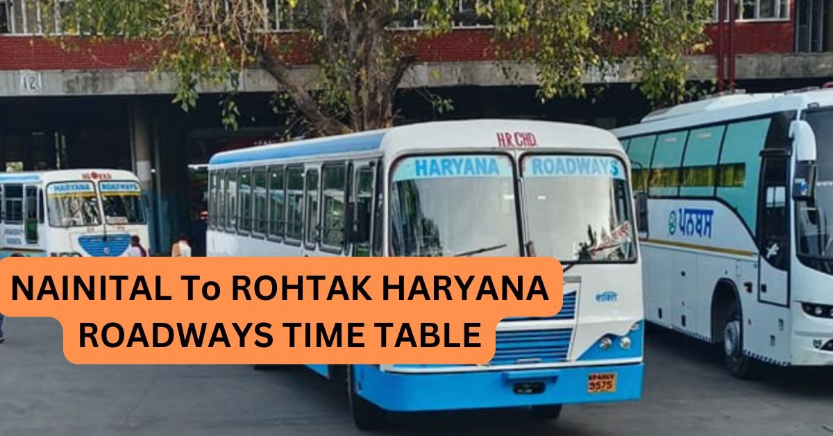 NARNAUL To HISAR HARYANA RODWAYS TIME TABLE 35